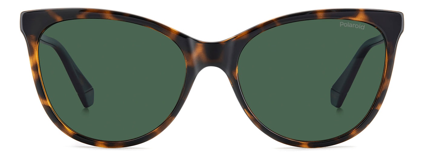 Polaroid PLD 4179/S Havana/Green Polarised #colour_havana-green-polarised