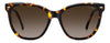 Carrera 3043/S Havana/Brown Shaded Gradient #colour_havana-brown-shaded-gradient