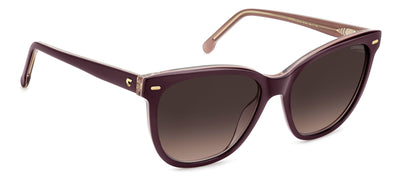 Carrera 3043/S Plum/Brown Shaded #colour_plum-brown-shaded