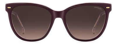 Carrera 3043/S Plum/Brown Shaded #colour_plum-brown-shaded