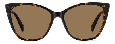 Polaroid PLD 4181/S Havana/Bronze Polarised #colour_havana-bronze-polarised