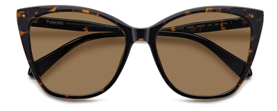 Polaroid PLD 4181/S Havana/Bronze Polarised #colour_havana-bronze-polarised