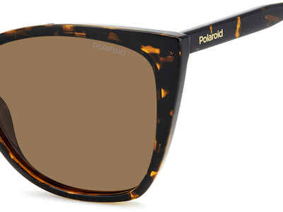 Polaroid PLD 4181/S Havana/Bronze Polarised #colour_havana-bronze-polarised