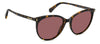 Polaroid PLD 6231/S Havana/Violet Polarised #colour_havana-violet-polarised