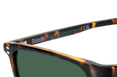 Polaroid PLD 6232/S Havana/Green Polarised #colour_havana-green-polarised