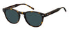 Tommy Hilfiger TH2186/S Havana/Blue #colour_havana-blue