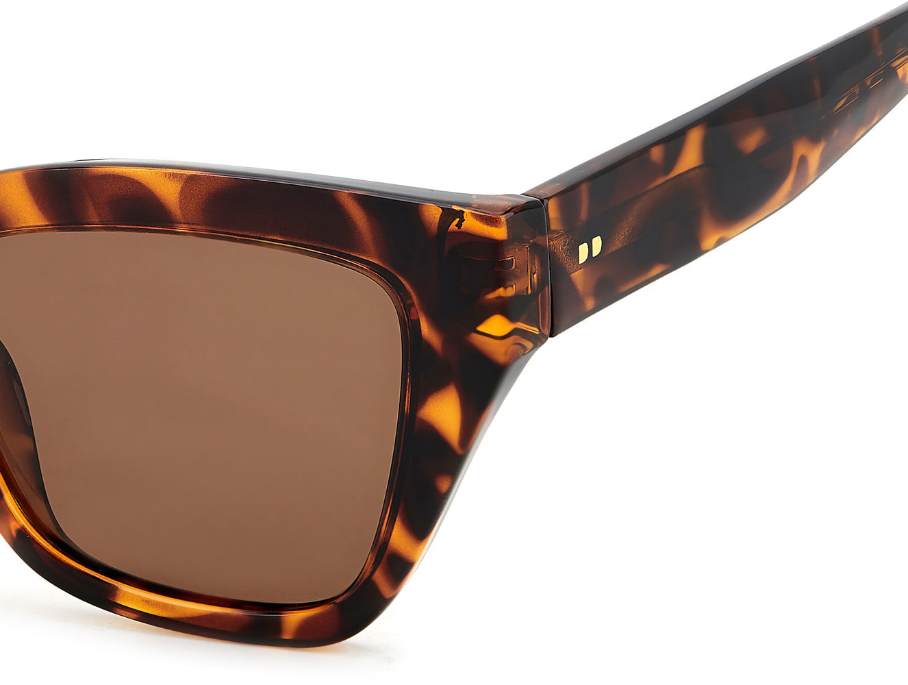 Prive Revaux Sun State/S Havana/Bronze Polarised #colour_havana-bronze-polarised