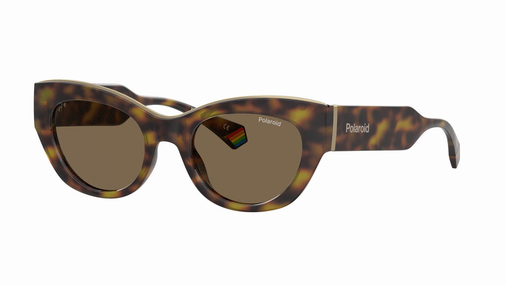 Polaroid PLD6199/S/X Havana/Bronze Polarised #colour_havana-bronze-polarised