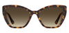 Moschino MOS155/S Havana/Brown Gradient #colour_havana-brown-gradient