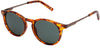 Prive Revaux Maestro MX/S Havana Honey/Green Polarised #colour_havana-honey-green-polarised