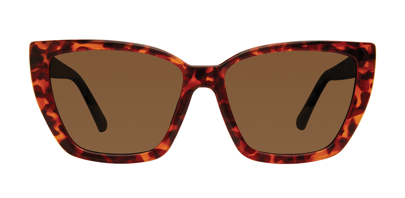 Prive Revaux The Palmera/S Brown Havana/Bronze Polarised #colour_brown-havana-bronze-polarised