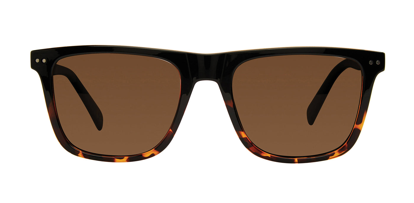 Prive Revaux The Lincoln/S Black Havana/Bronze Polarised #colour_black-havana-bronze-polarised