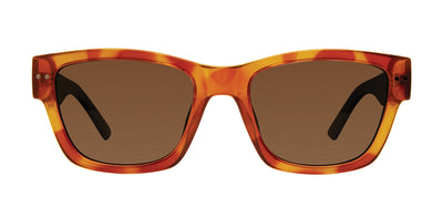 Prive Revaux The Alton/S Havana Honey/Bronze Polarised #colour_havana-honey-bronze-polarised