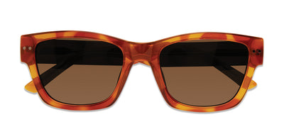 Prive Revaux The Alton/S Havana Honey/Bronze Polarised #colour_havana-honey-bronze-polarised