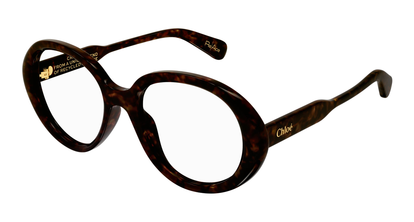 Chloe tortoise shop shell glasses