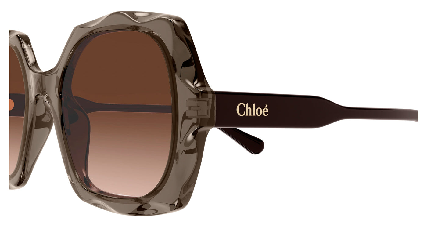 Chloe CH0226S Brown/Copper Gradient #colour_brown-copper-gradient