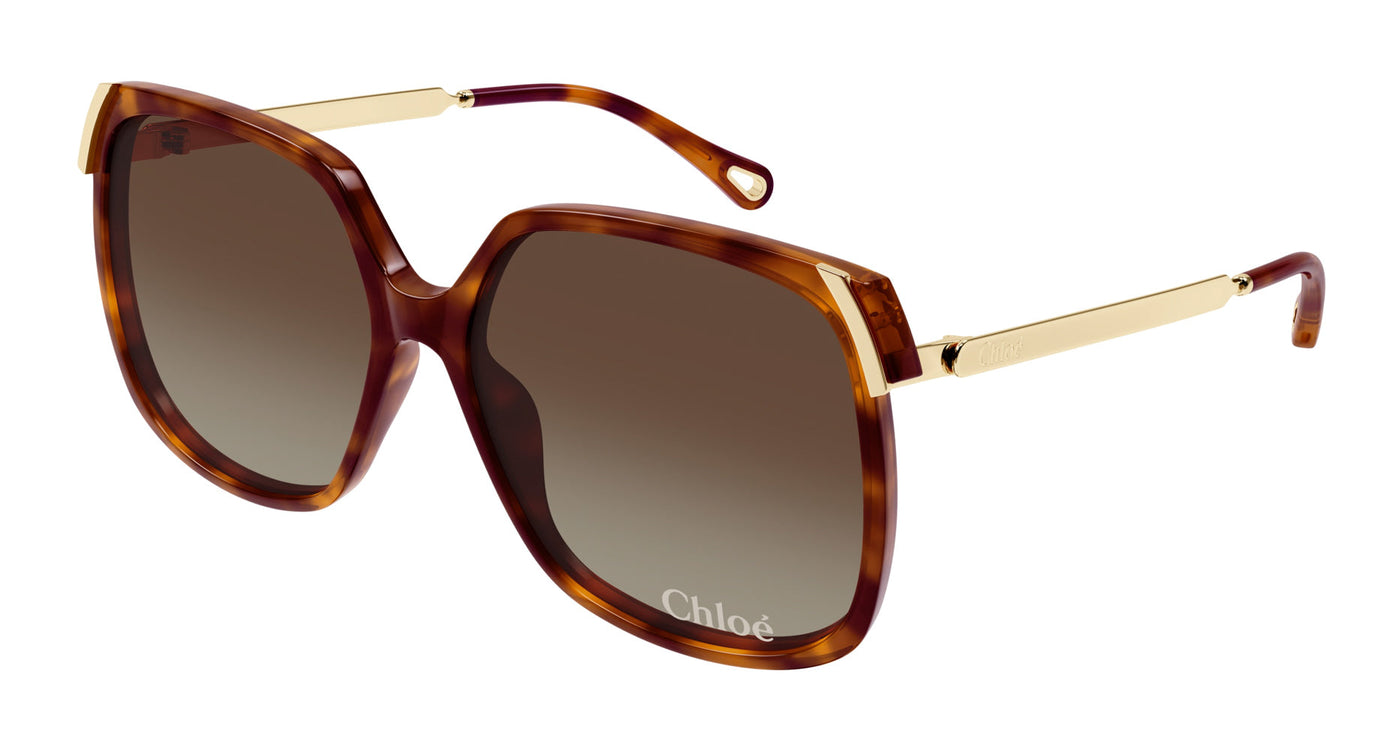 Chloe CH0286S Havana/Brown Gradient #colour_havana-brown-gradient