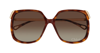 Chloe CH0286S Havana/Brown Gradient #colour_havana-brown-gradient