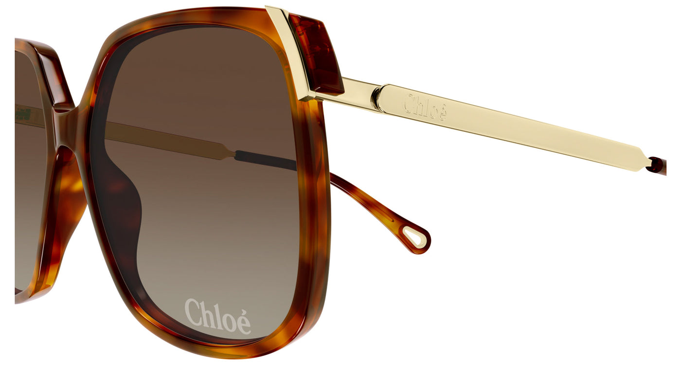 Chloe CH0286S Havana/Brown Gradient #colour_havana-brown-gradient