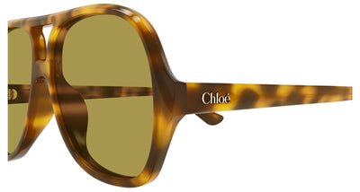 Chloe CH0289S Havana/Green #colour_havana-green