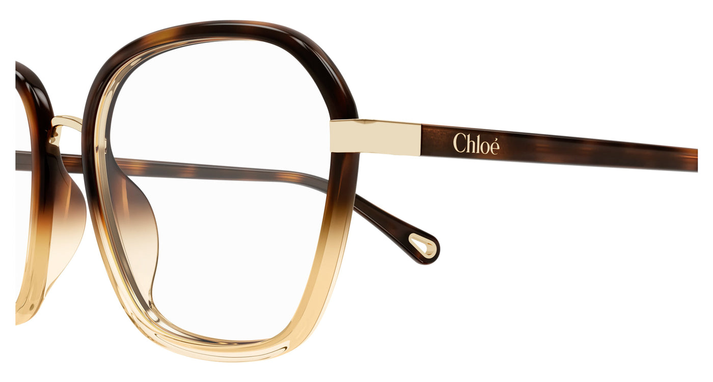 Chloe CH0309O Havana #colour_havana