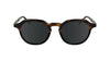 Calvin Klein CK24538S Havana Black/Grey #colour_havana-black-grey