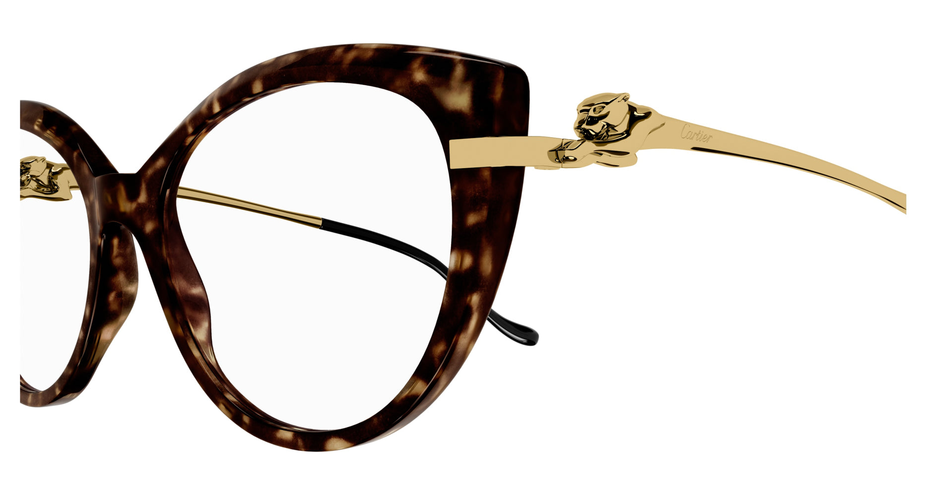 Cartier CT0283O Cat Eye Glasses Fashion Eyewear US