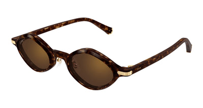 Cartier CT0540S Havana/Brown #colour_havana-brown