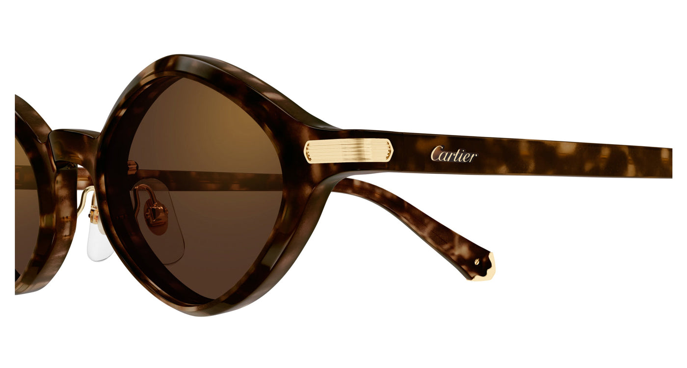 Cartier CT0540S Havana/Brown #colour_havana-brown