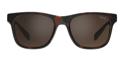 #colour_dark-tortoise-matte-brown-polarised