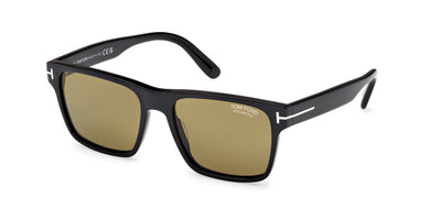 #colour_shiny-black-brown-polarised