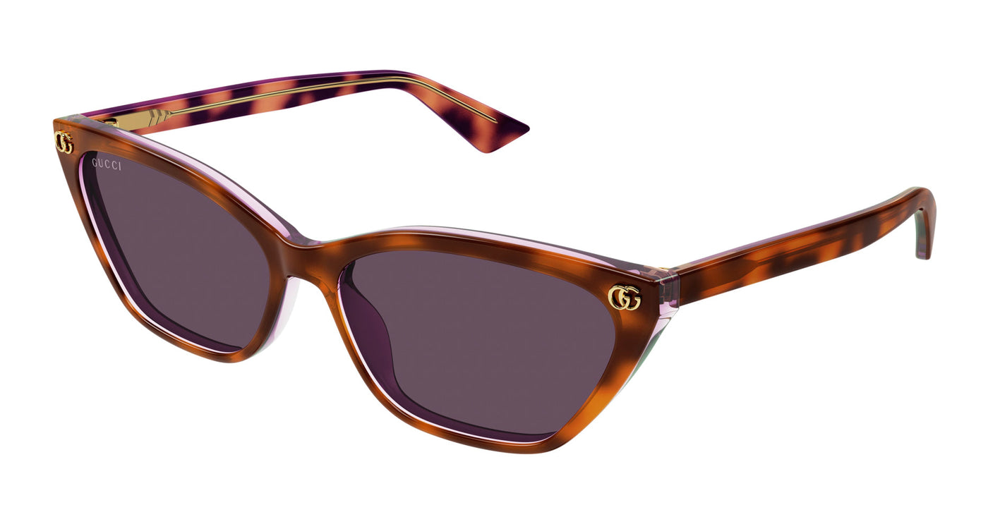 Gucci GG1815S Havana/Violet #colour_havana-violet