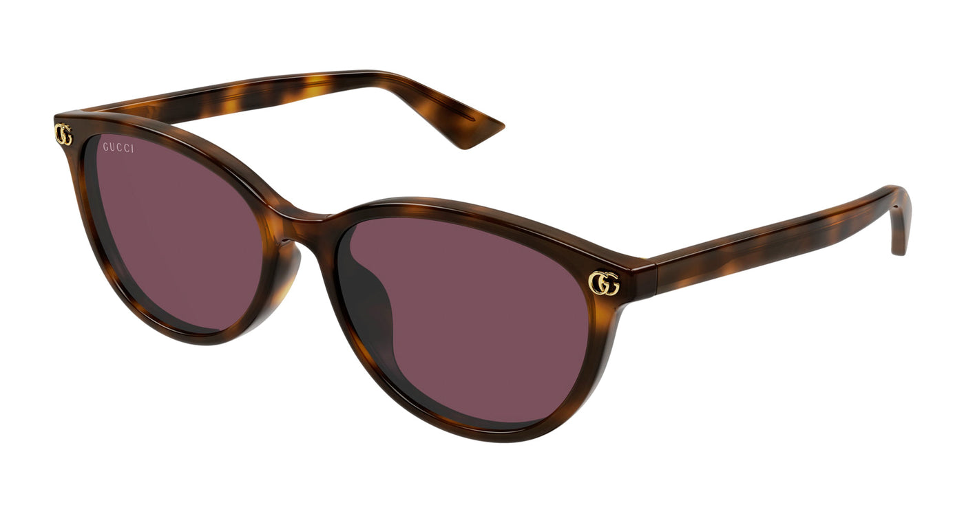 Gucci GG1818SK Havana/Violet #colour_havana-violet