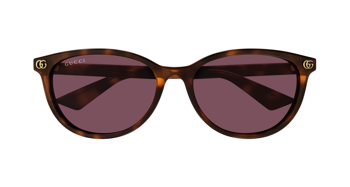 Gucci GG1818SK Havana/Violet #colour_havana-violet