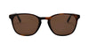 #colour_tortoise-brown