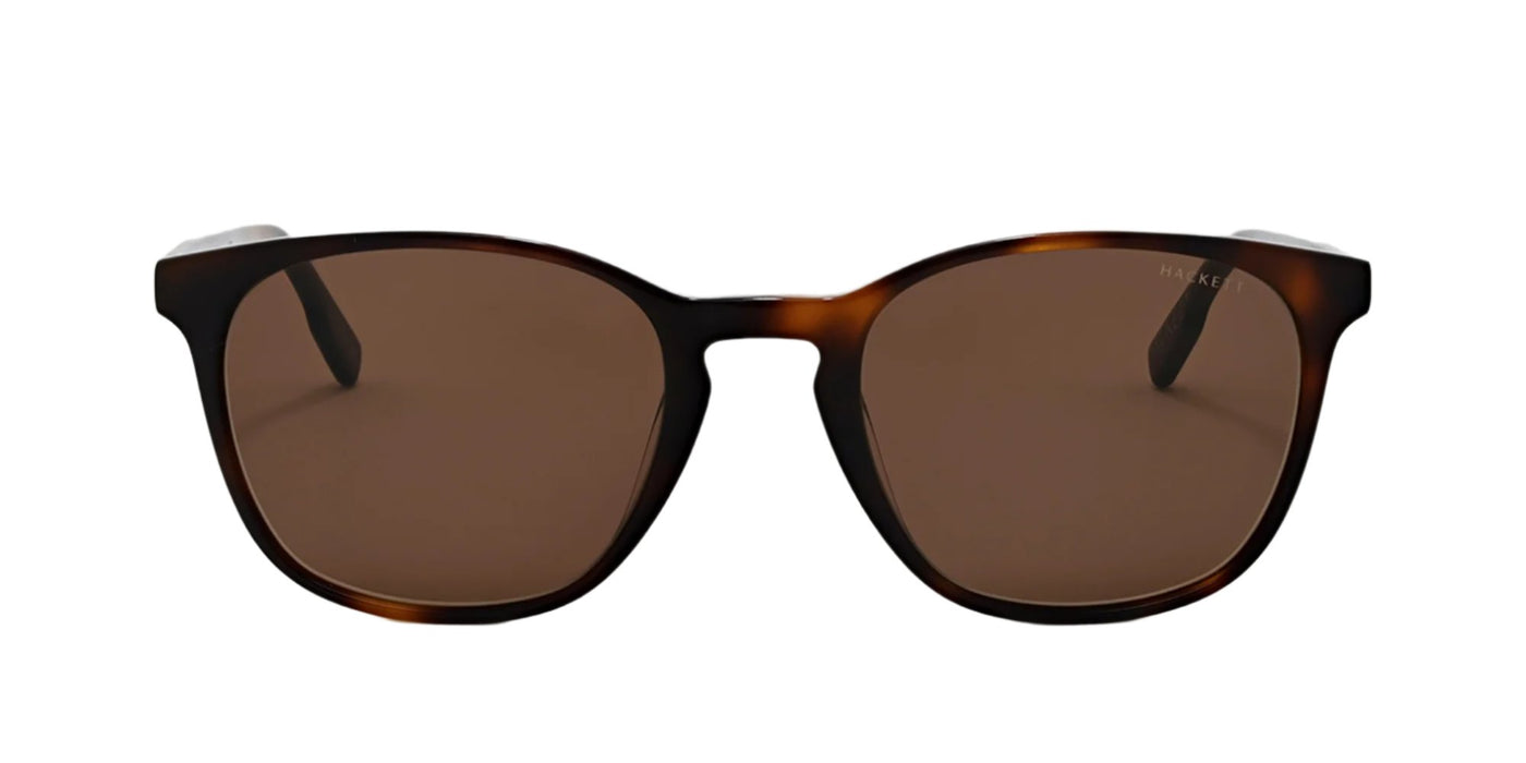 #colour_tortoise-brown