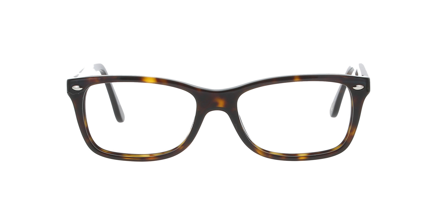 Polished Dark Havana Rayban Frame