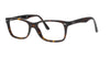 Polished Dark Havana Rayban Frame