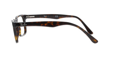 Polished Dark Havana Rayban Frame