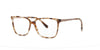 Havana Square Ted Baker Frame