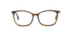 Square Havana Fendi Frame