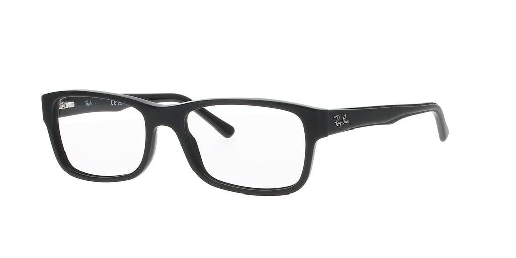 Matt Black Rectangle Rayban Frame