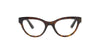 Havana Cat Eye Dolce and Gabbana Frame