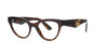 Havana Cat Eye Dolce and Gabbana Frame