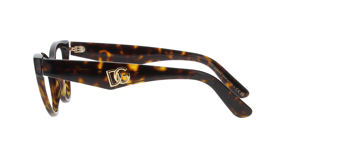 Havana Cat Eye Dolce and Gabbana Frame