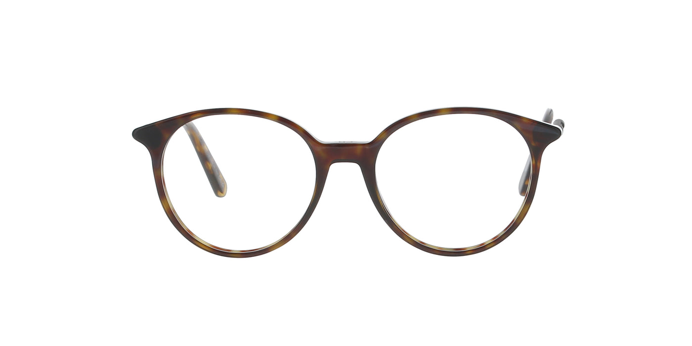 Dior MiniCD Round Havana Frame