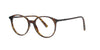 Dior MiniCD Round Havana Frame