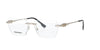 Rimless Gold DSquared2 Frame