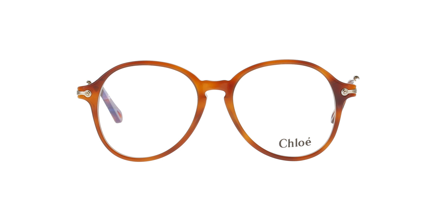 Blonde Havana and Gold Chloe Frame