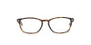 Havana and Blue Tom Ford Frame